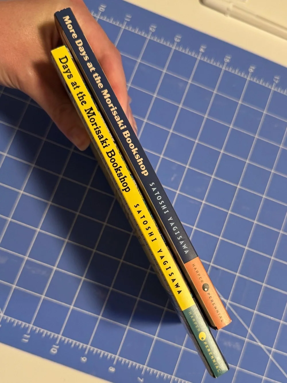 Bundle of two books by Satoshi Yagisawa